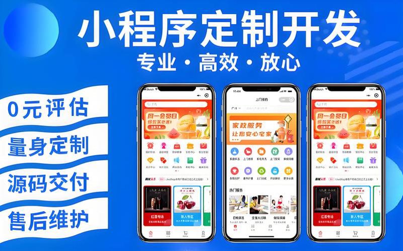 如何选择合适的软件定制开发服务?